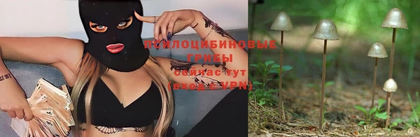 тгк Богородск