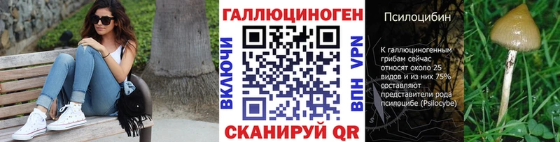 Купить закладки  Горняк  Псилоцибиновые грибы GOLDEN TEACHER 